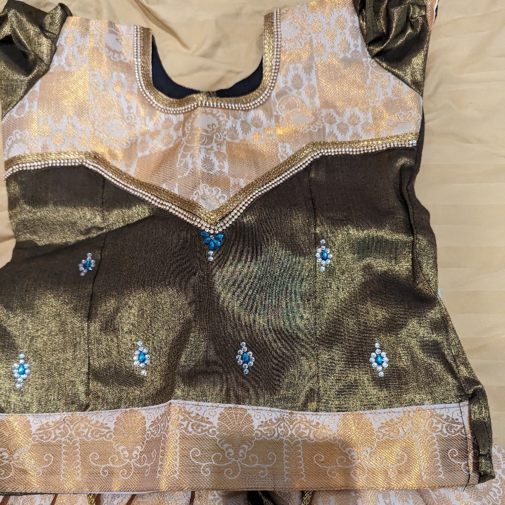 Traditional silk skirt and blouse